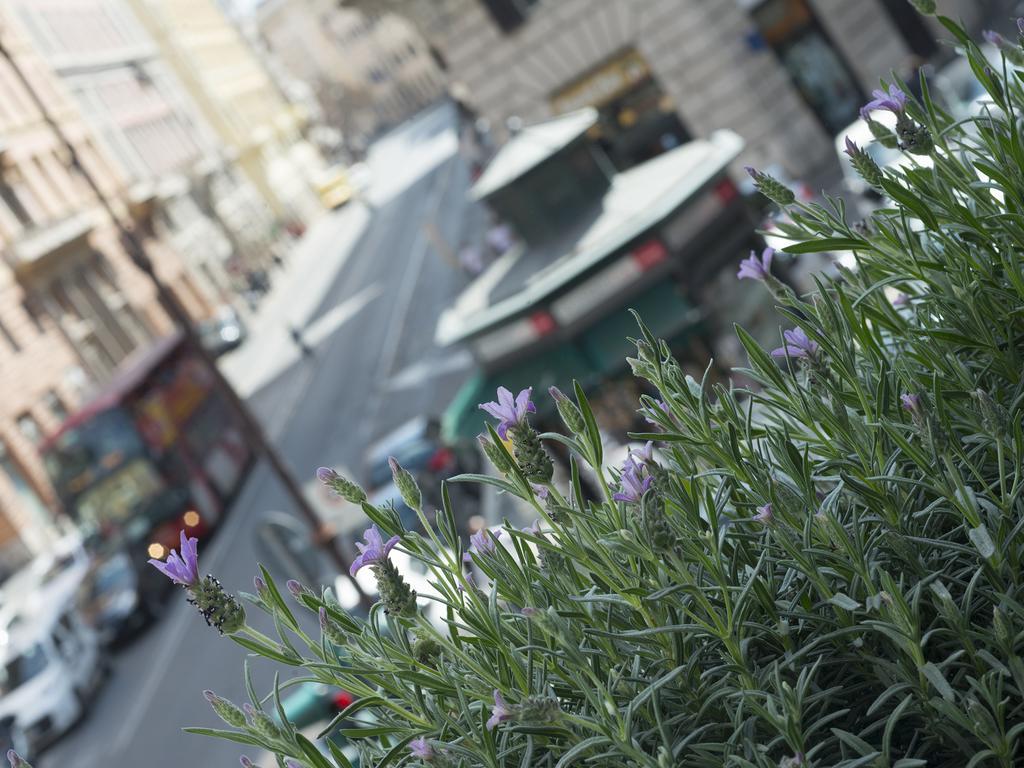 Corso Vittorio 308 Acomodação com café da manhã  Roma